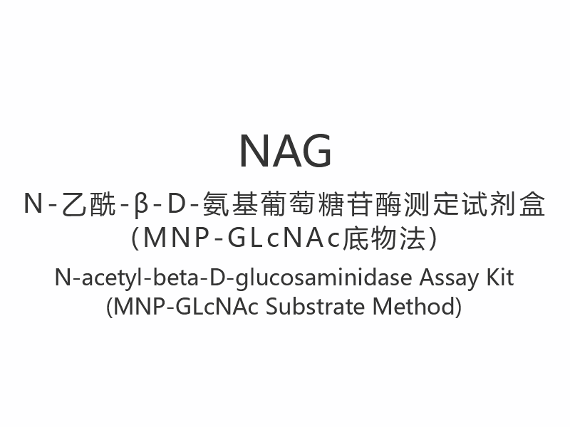 【NAG】N-acetyl-beta-D-glukosaminidasanalyskit (MNP-GLcNAc-substratmetod)