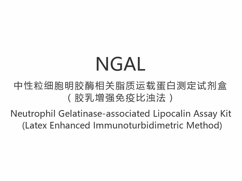 【NGAL】Neutrofil gelatinas-associerad Lipocalin Assay Kit (Latex Enhanced Immunoturbidimetrisk Method)